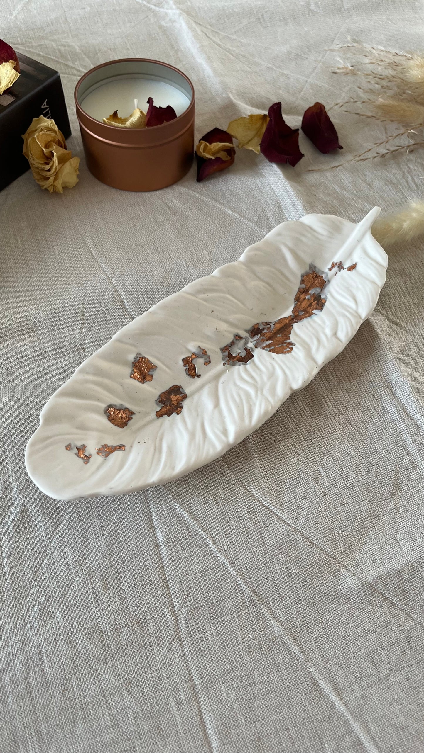 Vide poche plume