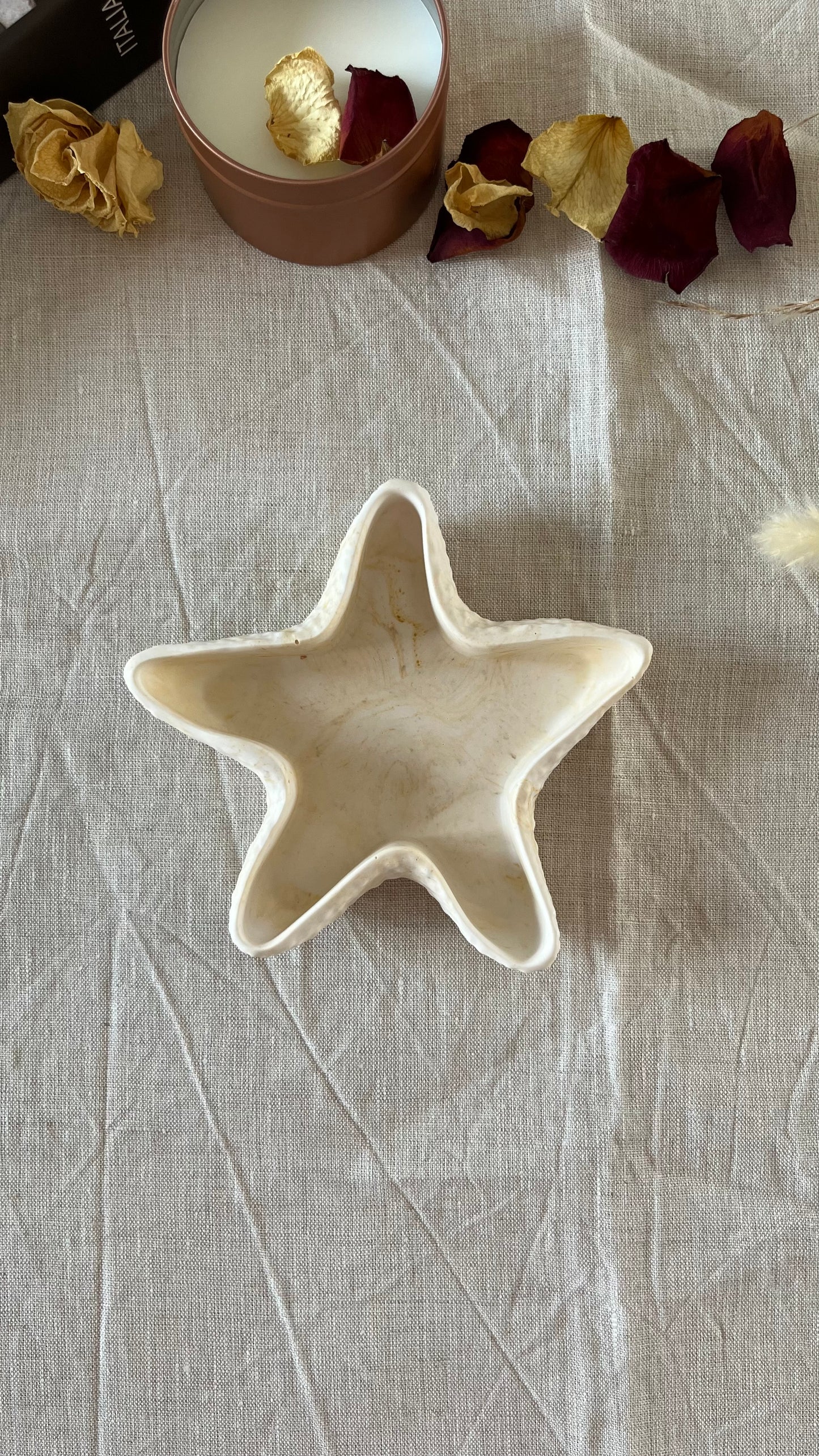 Vide poche étoile de mer